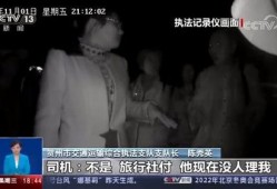 男子爆料旅游事件视频,揭秘令人心惊的旅游黑幕