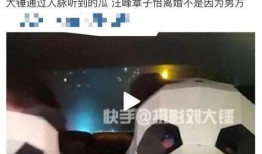 汪峰离婚爆料视频播放,视频爆料揭示婚姻真相