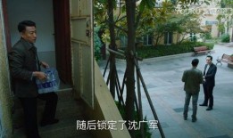 爆料保定小树林案件最新,揭秘背后惊人真相与警方调查进展