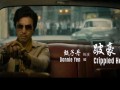 追龙甄子丹在线观看,甄子丹演绎传奇，在线观看重温江湖风云