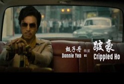 追龙甄子丹在线观看,甄子丹演绎传奇，在线观看重温江湖风云