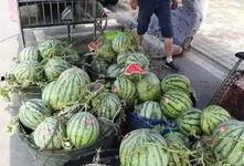 武穴网红事件吃瓜,揭秘网络舆论的风暴与真相