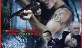 大追捕电视剧在线观看,惊心动魄的逃亡与正义的较量