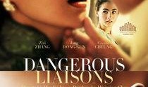 危险关系 在线观看,激情与禁忌的纠葛在线揭秘