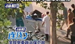 爆料河南洛阳事件视频,揭秘背后真相与争议