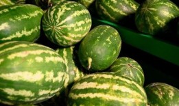 武穴网红事件吃瓜,揭秘网络舆论的风暴与真相