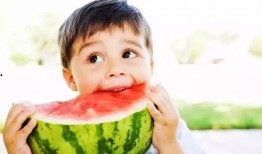 娱乐吃瓜小兔兔小说,小兔兔的吃瓜日常