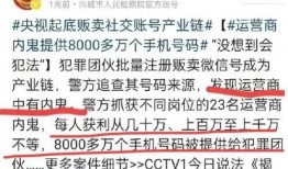 如何在今日说法里爆料,公众爆料背后的真相与正义