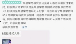 娱乐吃瓜酱朋友事件,揭秘娱乐圈背后的惊人真相