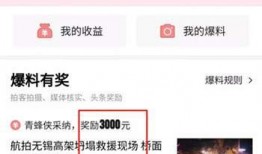 连云港今日头条爆料,揭秘今日热点事件背后的真相