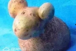 小羊物品爆料怎么做视频,视频制作攻略全解析