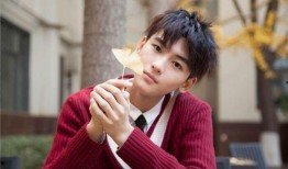 明星爆料黄俊捷事件视频,明星爆料背后的真相揭秘