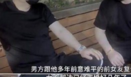 狗仔爆料全集免费观看视频,揭秘娱乐圈幕后真相