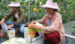 吃瓜网红在操场,揭秘校园生活新潮流