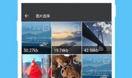 爆料视频制作教程下载手机版,如何轻松下载爆料视频制作教程手机版