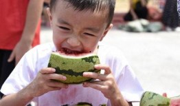 吃瓜的宝贝免费全集,揭秘娱乐圈背后的甜蜜与苦涩