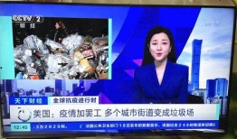 河北电台爆料新闻视频播放,揭秘新闻视频播放背后的真相