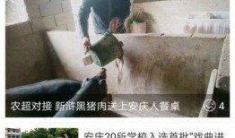 安庆陈先生最新爆料,最新爆料事件深度解析