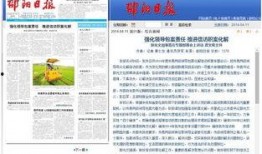 邵阳日报新闻爆料,揭秘某重大事件背后真相