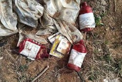 死亡番薯爆料视频,视频爆料背后的惊人真相