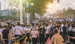 大厂往事爆料视频