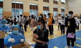 深圳刘先生爆料最新消息,揭秘某事件背后惊人真相