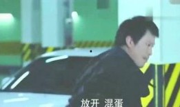 敏姐爆料刘天王视频