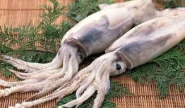 鱿鱼最新爆料视频大全图片,视频大全图片揭秘幕后真相