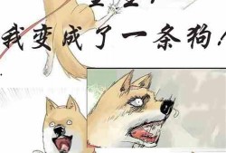 吃瓜婆娘小说免费阅读,揭秘娱乐圈背后的秘密与真相