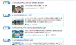 鹿拍视频爆料违法吗知乎,揭秘网络爆料合法与违法边界