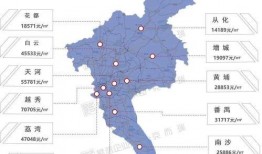 东莞大湾区爆料事件最新,最新进展与影响深度解析